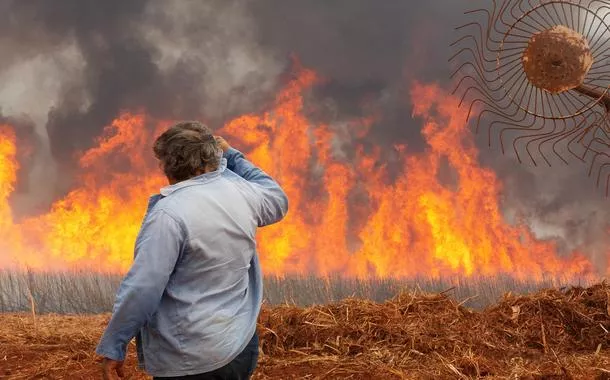 Plantação de cana-de-açúcar em chamas em Dumon (SP)
24/08/2024
REUTERS/Joel Silva