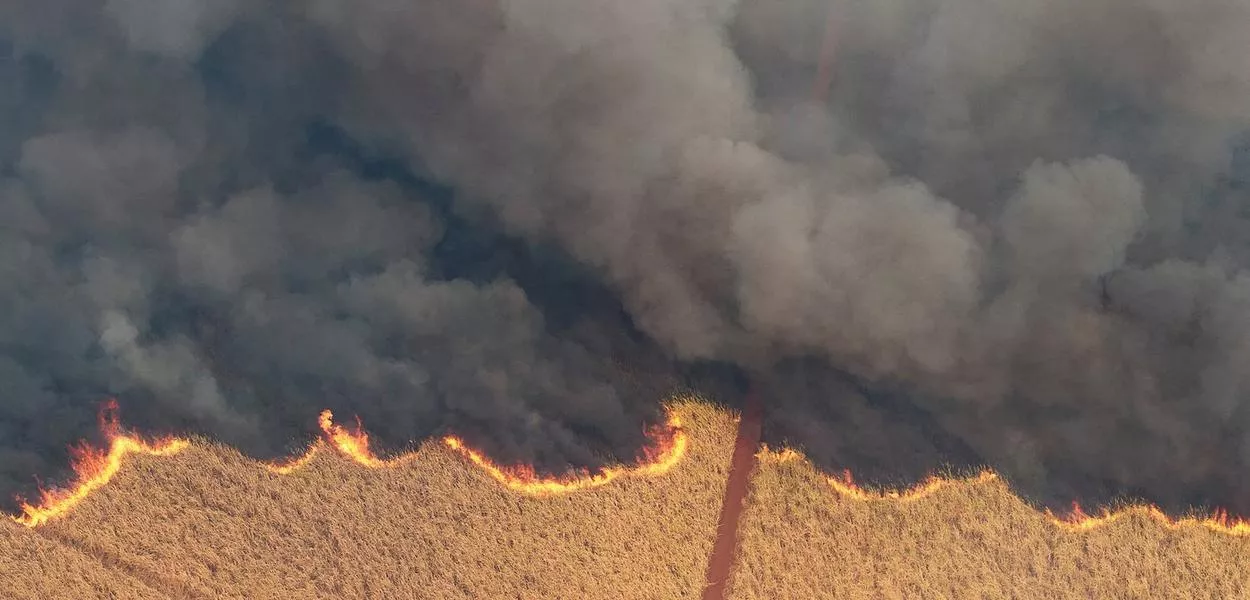 Incêndio em canavial de SP