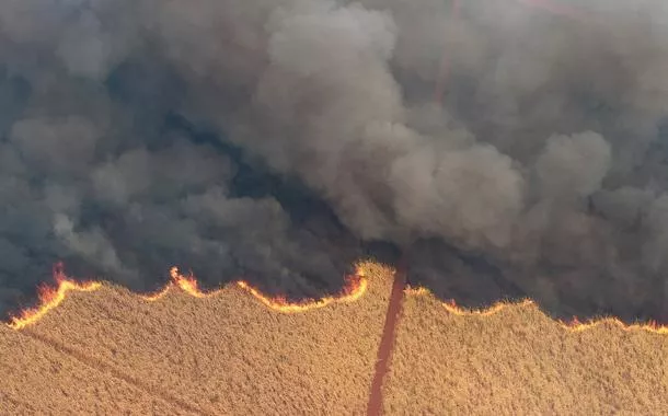 Polícia prende cinco suspeitos de provocar incêndios no interior de São Paulo