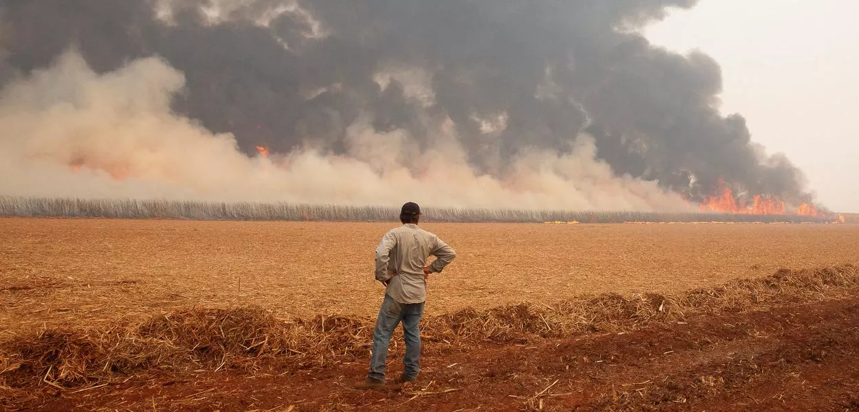 Incêndio destrói plantação de cana-de-açúcar em Dumon (SP)