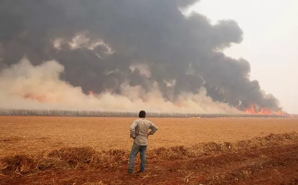 Incêndio destrói plantação de cana-de-açúcar em Dumon (SP)