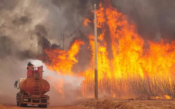 PF abre 33 inquéritos sobre incêndios no país e apura ação coordenadawin roletaSP