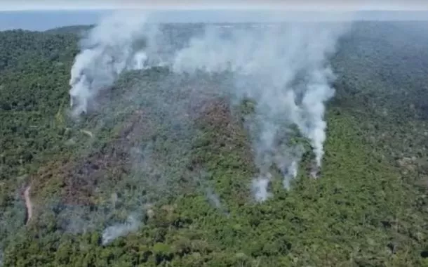 Governo do Pará decreta situaçãoreal bet fazer downloademergência por causa das queimadas