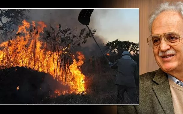 "Explosão criminosa dos incêndios na Amazônia está associada ao crime organizado", afirma Carlos Nobre