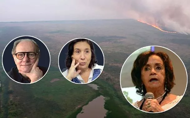 "Eles vão ter que pagar por isso", diz pesquisadora da Fiocruz sobre incêndios criminosos