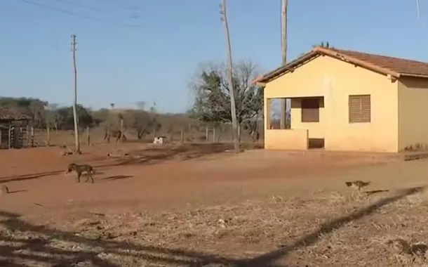 Homem mata a ex-mulher, o caseiro e depois é morto a pauladas em fazenda de MG