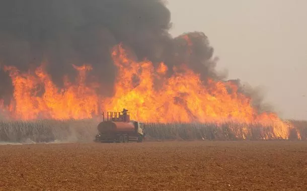 Tereos estima 10% do canavial atingido por fogo e cita seca como fator para 2025/26