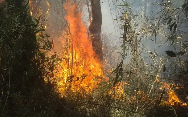 "Certamente alguém pôs fogo", diz chefe do Parque da Serra dos Órgãos