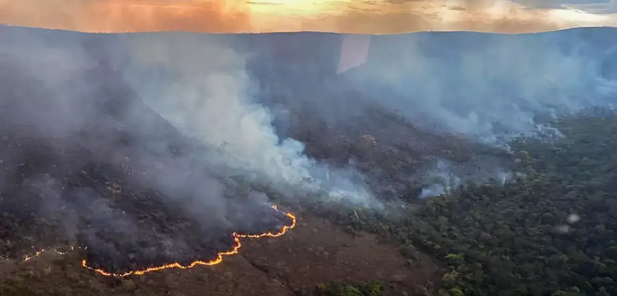 Queimadas atingiram 30 milhões de hectares no país em 2024