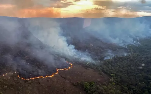 Governo Lula descarta crise de queimadas em 2025 após prevenção e clima mais favorável