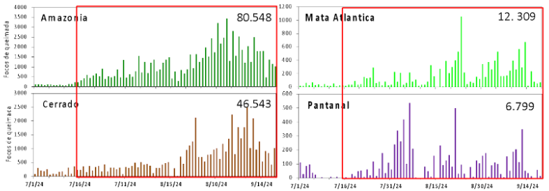 grafico