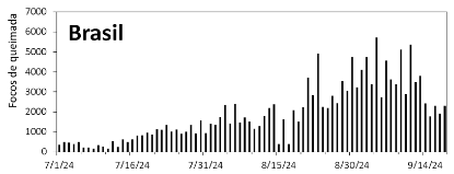 grafico