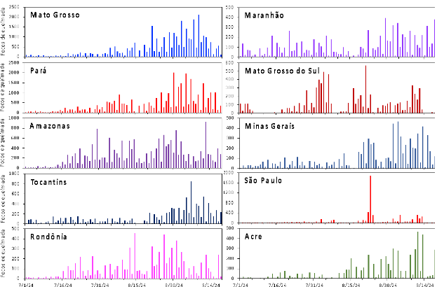 grafico