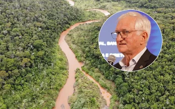 Banco do Brasil tem meta de 1 milhão de hectares preservados em projetos de carbono até 2025