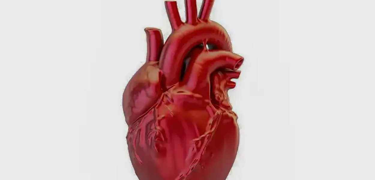 Doenças cardiovasculares matam 400 mil brasileiros por ano