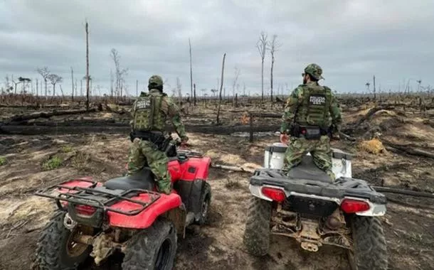 Agentes da Polícia Federal analisam resultado de incêndio florestal