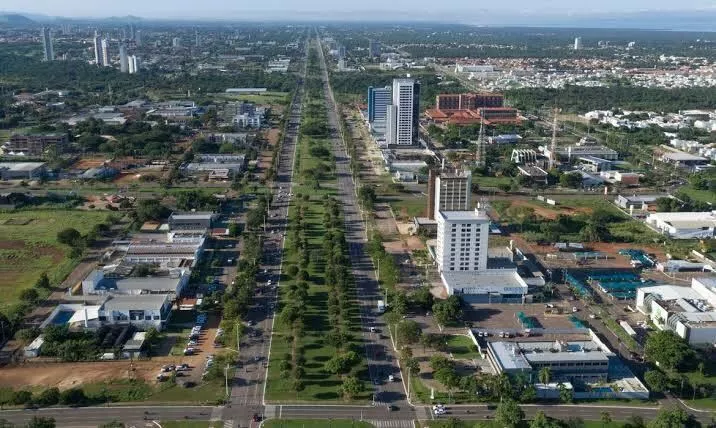 Palmas