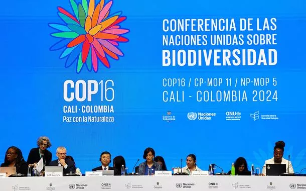 COP16: mulheres reivindicam seu papel como protagonistas da proteção da natureza