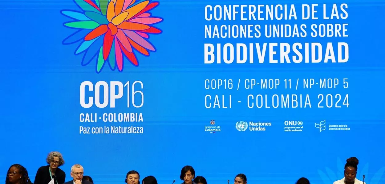 Sessão plenária de abertura da 16ª Cúpula das Nações Unidas sobre a Diversidade Biológica (COP16), em Cali, Colômbia
21/10/2024
