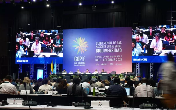 COP16 em Cali corre risco de fracasso em meta de biodiversidade e enfrenta desafios de financiamento