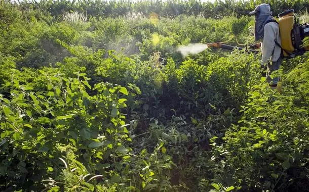 Agente colocando agrotóxico em vegetação no Brasil