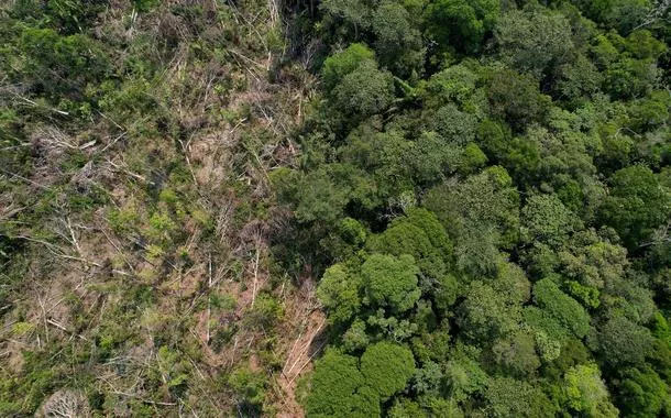 Vista de área desmatada da Amazônia na cidade de Humaitá, no estado do Amazonas