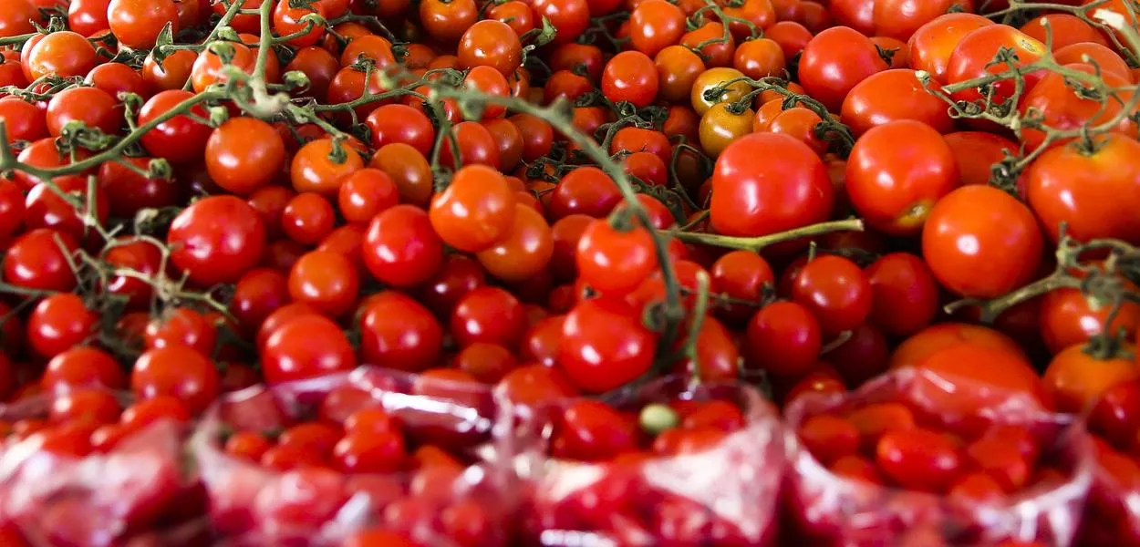 O que faz do tomate um aliado anticâncer? Conheça os poderes do licopeno