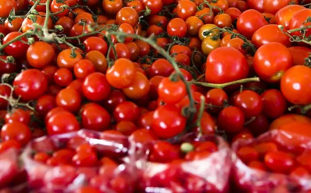 O que faz do tomate um aliado anticâncer? Conheça os poderes do licopeno