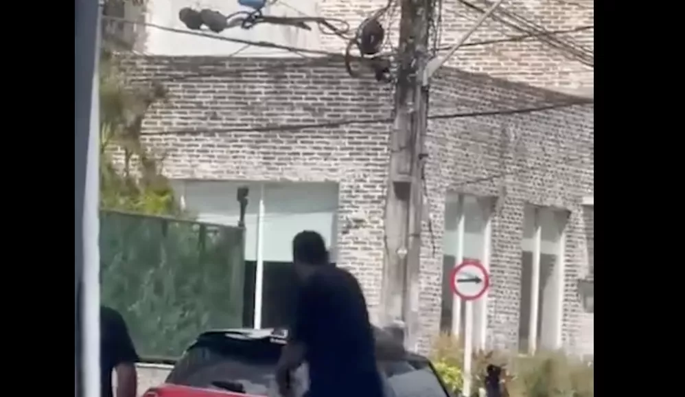 Ricardo Antunes é agredido