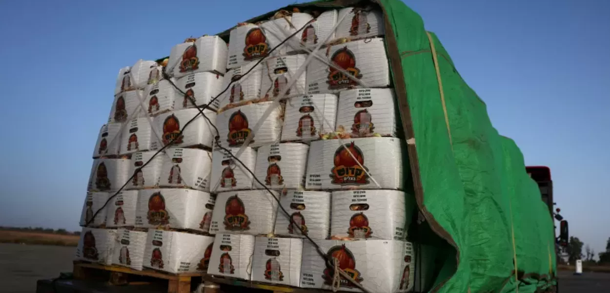 Caminhões com alimentos para Gaza são saqueados durante operação humanitária