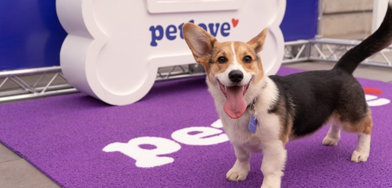 Petlove: Ampliando o Acesso à Saúde e Bem-Estar dos Pets no Brasil