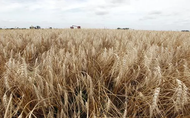 Agricultores sul-americanos querem detalhes antesesporte da sorte onlinecelebrar acordo com União Europeia