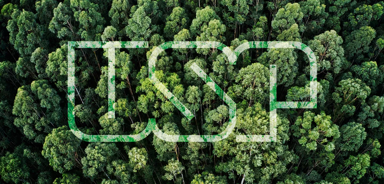 USP ganha centro de pesquisas sobre clima e sustentabilidade