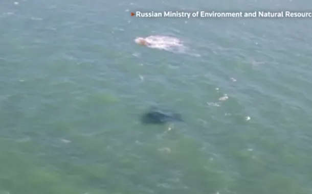 "Frota fantasma": naufrágio de petroleiros no Mar Negro mobiliza autoridades russas