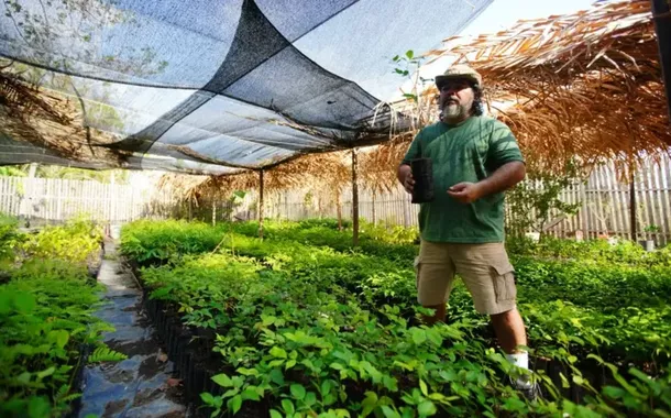 Sebrae visita negócios sustentáveis no Pará e fortalece Amazônia para a COP 30
