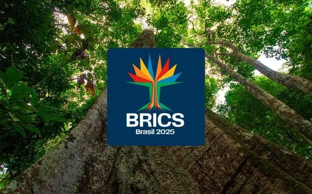 Identidade visual do BRICS Brasil