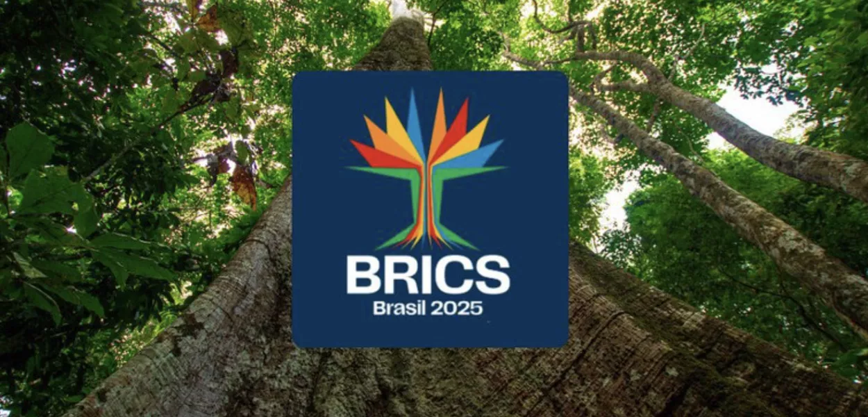 Samaúma e logo do BRICS