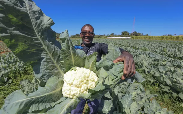 Mais oportunidades para a agricultura familiar: GDF investe R$ 44 milhões em programas de aquisição de alimentos