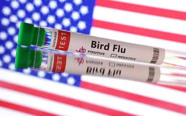 Tubo de ensaio com inscrição "Gripe aviária" e bandeira dos EUA ao fundo