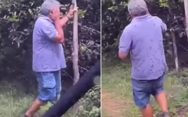 Ex-vereador morre atacado por abelhas no interior do Ceará