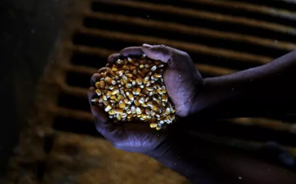 Conab estima produção agrícola 9,4% maior em 2025; 'supersafra' é aposta do governo para derrubar inflação