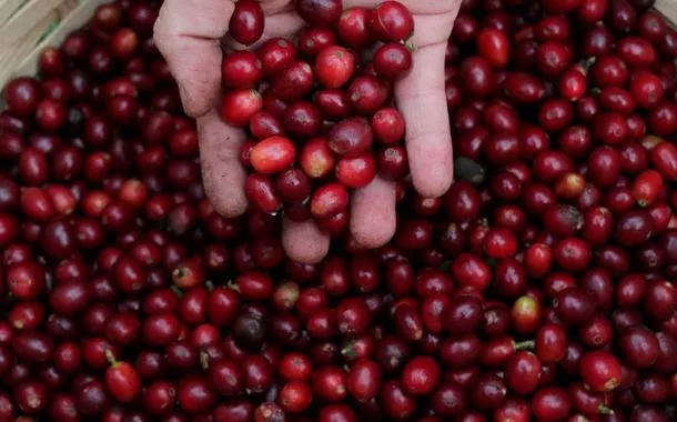Cecafé defende que café seja isento de tarifas e diz que consumidor dos EUA poderá pagar a conta