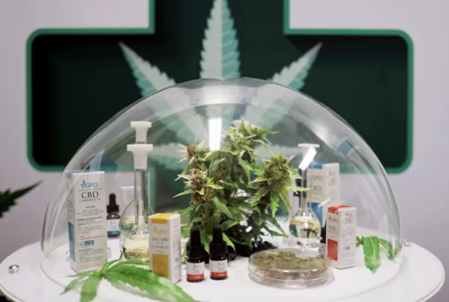 Cannabis medicinal