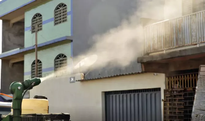 Vacina contra chikungunya mantém anticorpos após 1 ano de aplicação