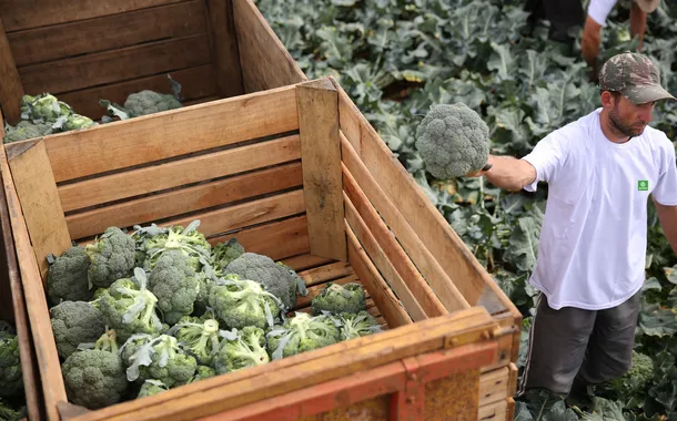 BNDES apoia Grano Alimentos com R$ 24,4 milhões para produção de vegetais congelados