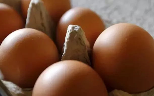 Preço do ovo recua após alta histórica