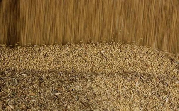 Anec: exportação de grãos e farelo de soja do Brasil pode ser recorde em agosto