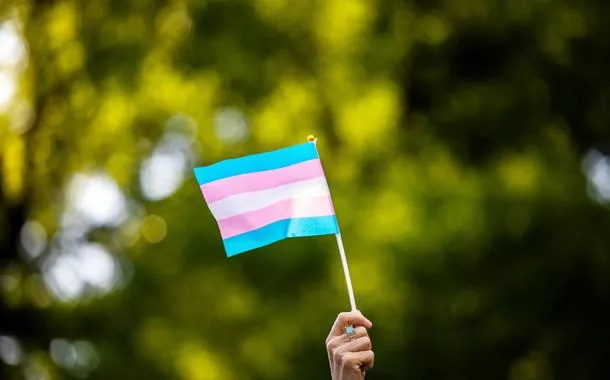 Bandeira representativa da comunidade trans