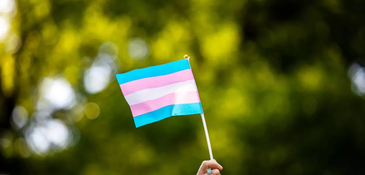 Bandeira representativa da comunidade trans