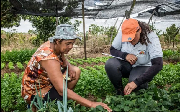 BNDES firma contrato de R$ 299 milhões com a Bahia para fortalecer a agricultura familiar no semiárido